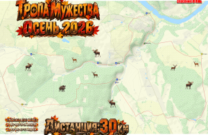 80 км Осень 2026 0